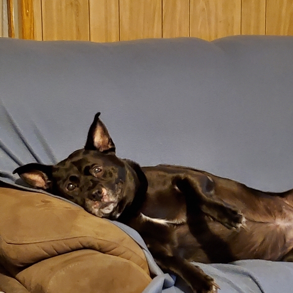 Meet your Posher, Robert - Picture 5 of 5